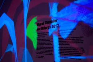 Art2M_Miguel_Chevalier_Cartel